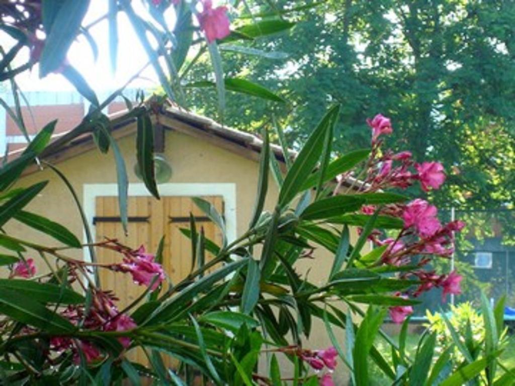 Residence Thibaud Toulouse Buitenkant foto